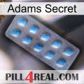 Adams Secret viagra3